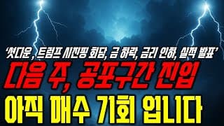 빠질 때 봐야 할 종목은?(ft.양자주식) 셧다운 끝? 오늘 영상 꼭 보세요. 테슬라 아이온큐 인텔 엔비디아