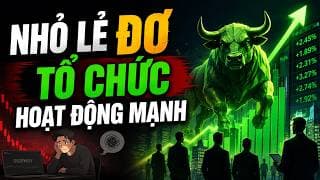 🔴VN-INDEX 30/06/2026: Nhỏ lẻ đơ người - Tổ chức hoạt động mạnh