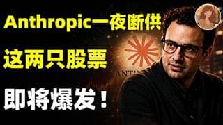Anthropic一夜断供！我找到了一条没人察觉的AI新主线，这2家公司才是2026最大赢家！ORCL,NBIS.META.GOOGLE.Anthropic.NVDA#ai #trading #美股
