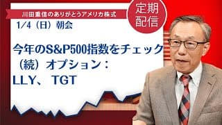 今年のS&P500指数をチェック（続）オプション：LLY、 TGT【アメリカ株】