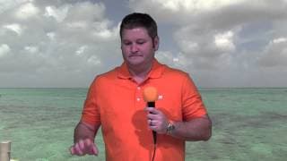 Penny Stock Dilution Visual Example