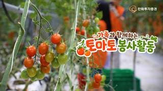 가족과 함께하는 '토마토 봉사활동'