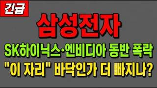 [삼성전자 주가 전망] (긴급) SK하이닉스·엔비디아 반도체 17년만 최대 폭락! "이 자리" 지금 담아야 하나?