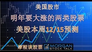 【24025】TSLA明年还会大涨吗？