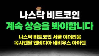 나스닥 비트코인 계속 상승으로 봐야하는 이유, 써클 이더리움 옥시덴탈 엔비디아 네비우스 아이렌 오일 분석 (feat. 인베스팅)