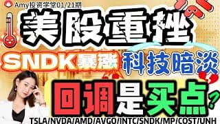 股票|美股|💥美股重挫，科技股大跌！SNDK大涨！ ⭐财报季能否逆袭抄底？【美股26.01.21盘前展望】#tsla #美股#股票#nvda #sndk #intc #amd #mp#UNH#cost