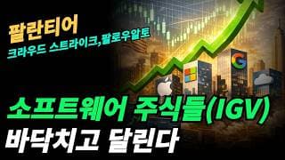 (팔란티어) 소프트웨어가 반등중에 있다!!!