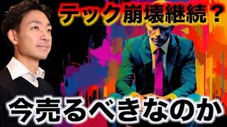 米国株テックの崩壊が継続？今売るべき？