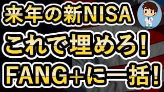 【FANG+に一括！】来年の新NISAはこうやって埋める！