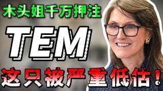 木头姐千万筹码押注！AI 医疗被错杀一年后迎来反转，翻倍近在眼前！错过这波可能后悔十年｜必看 ！ TEM #美股 #纳斯达克 #领涨