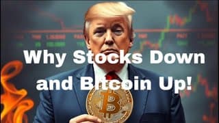 WHY STOCKS ARE DOWN AND BITCOIN IS UP! Also Stocks Up During Downturns! Palantir, Berkshire, FBTC!