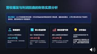 Cerebras财务报表解读+潜在风险分析（视频切片）