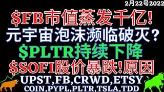 $FB市值蒸发千亿! 元宇宙泡沫濒临破灭? $PLTR持续下降 $SOFI股价暴跌!原因 UPST,FB,CRWD,PLTR,TSLA,SOFI