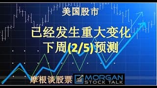 【24007】MSFT, AAPL, AMZN, GOOG, NVDA等科技大股票，今年哪只潜力更大？