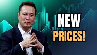 Unbelievable Data: Exploring the Tesla Frenzy