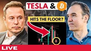 Has Tesla hit its floor?