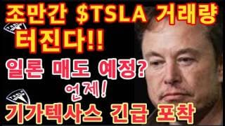 결국 거래량 터진다! $364 사수냐 폭락이냐! / 사이버캡 대량 이동 / 세미트럭 화물 노선 투입 / 일론 머스크 매도 예정(블룸버그) / 테슬라 투자