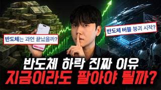 "반도체는 이제 끝났다고?" 주가 하락의 진짜 이유