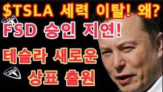 FSD 승인 연기! 반대 나라는 어디? / TSLA 단타 세력들 $400 부근 대거 이탈 신호 / 세미 370대 계약 / 로드스터 소식 / 테슬라 투자