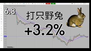 高开低走止跌打只野兔，今天没有拉起来，这两天要守株待牛