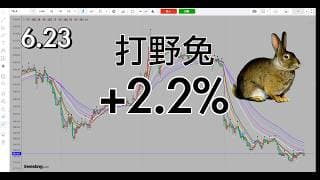 回调过程中，耐心等，快进快出打野兔