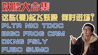 美股趋势分析｜NIO PLTR TDOC BIGC FROG CRM DKNG FUBO FSLY SUMO 咱们今天就来一个妖股大合集！ Palantir Teladoc Fastly｜美股投资入门