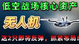 手握五角大楼“续命金牌”，营收狂飙161%，现金等同市值，这两只黑马要重塑2026低空战场！跌出地板价，现在布局，躺赚2026!  ONDS ， RCAT#美股 #纳斯达克 #trading
