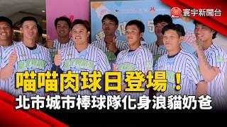 喵喵肉球日登場！北市城市棒球隊員化身浪貓奶爸｜#寰宇財經新聞@globalmoneytv