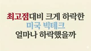 최고점대비 크게 하락한 미국 빅테크, 얼마나 하락했을까