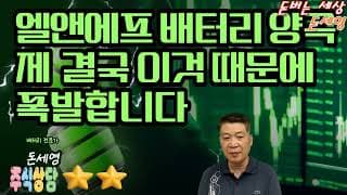 엘앤에프 배터리 양극제 결국 이것 때문에 폭발합니다.
