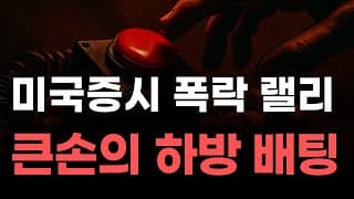 [미국주식] 미국증시 폭락 랠리 큰손의 하방 배팅! [엔비디아, 테슬라, 아이온큐, 브로드컴, 애플, 팔란티어]