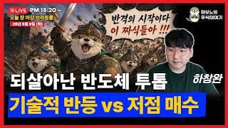 시장이 반등할 땐 주도주 매매를 해야 한다(feat. 또도체)