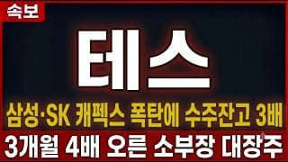 [테스 주가 전망] 삼성·SK 캐펙스 폭탄에 수주잔고 3배, 3개월 4배 오른 소부장 대장주 #테스주가전망 #테스목표가 #테스