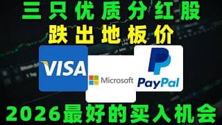 市场波动加剧之际，三只具备稳定分红能力的优质公司却跌出地板价，2026年或将迎来难得的布局机会！V,MSFT,PYPL#美股 #熱門 #投资 #股票分析 #trading