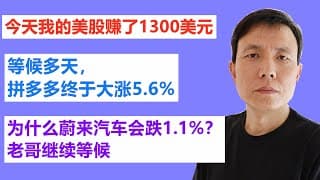 今天我的美股账户赚了1300美元，等候多天，拼多多终于大涨5.6%,分析为什么蔚来汽车跌（73期）