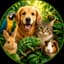 Known Pets