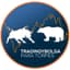 Trading y Bolsa