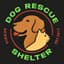 Dog Rescue Shelter, Serbia